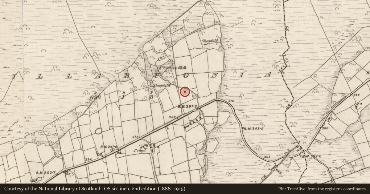 Ordnance Survey six-inch map, 2nd edition (1888–1915) covering the location of Megalithic structure, Cill Buaine, County Kerry, with a pin at the register's coordinates