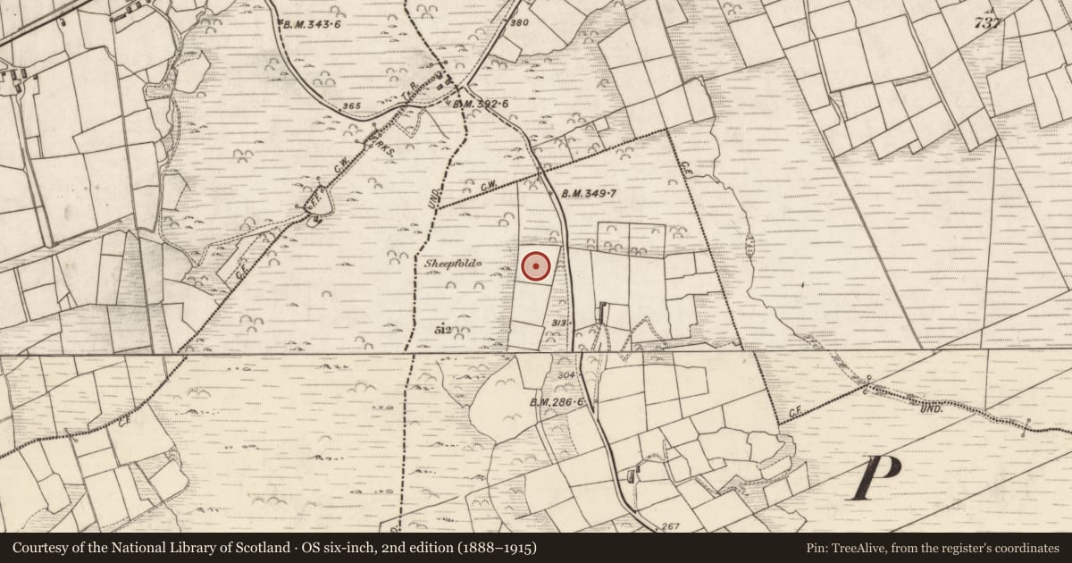 Ordnance Survey six-inch map, 2nd edition (1888–1915) covering the location of Hut site, Cill Urlaí, County Kerry, with a pin at the register's coordinates