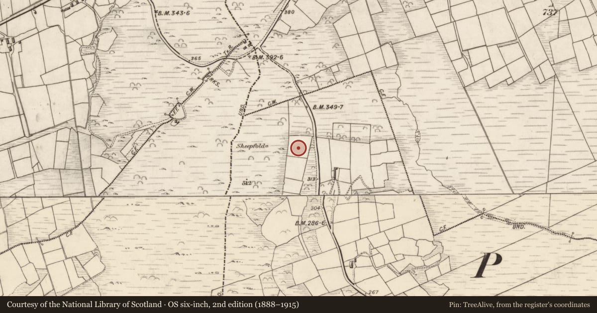 Ordnance Survey six-inch map, 2nd edition (1888–1915) covering the location of Hut site, Cill Urlaí, County Kerry, with a pin at the register's coordinates