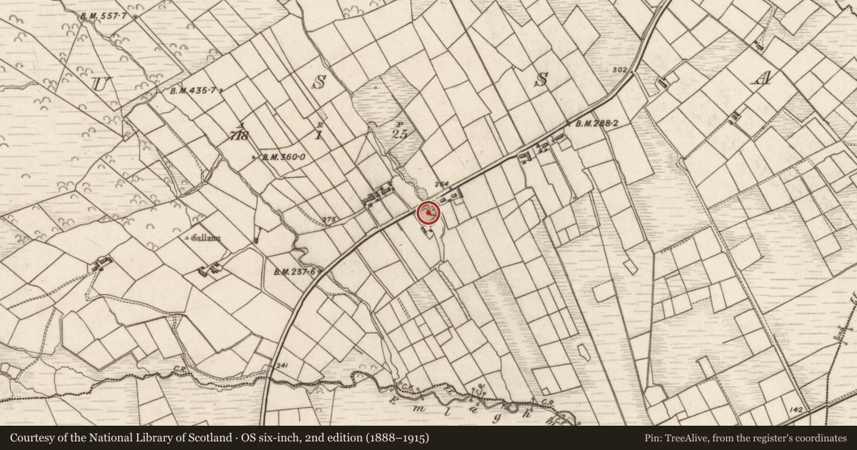 Ordnance Survey six-inch map, 2nd edition (1888–1915) covering the location of Children's burial ground, Sosadh, County Kerry, with a pin at the register's coordinates
