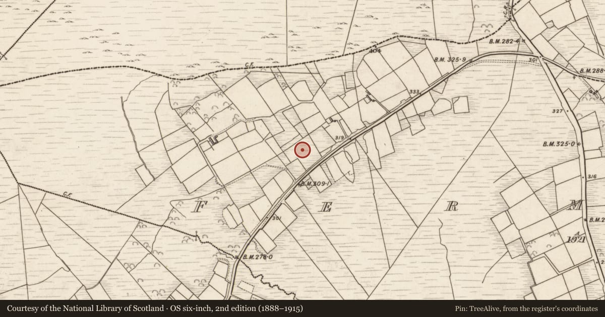 Ordnance Survey six-inch map, 2nd edition (1888–1915) covering the location of Megalithic tomb - unclassified, Formaoil (TC Trian Iarthach), County Kerry, with a pin at the register's coordinates