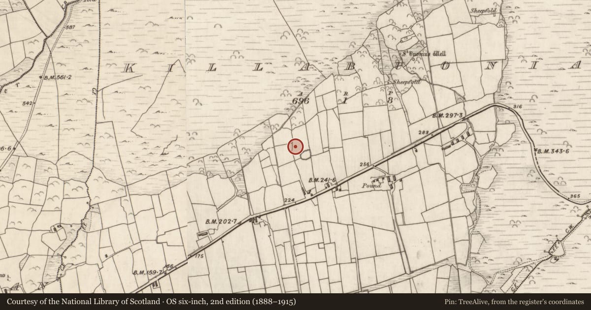 Ordnance Survey six-inch map, 2nd edition (1888–1915) covering the location of Hut site, Cill Buaine, County Kerry, with a pin at the register's coordinates