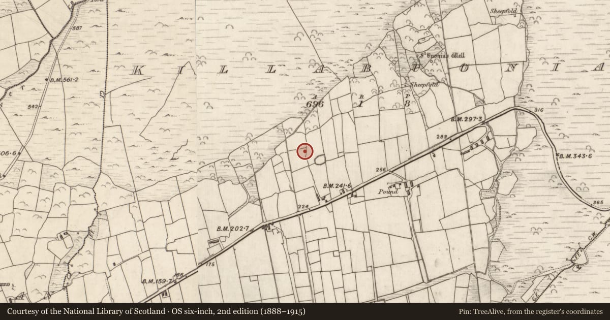 Ordnance Survey six-inch map, 2nd edition (1888–1915) covering the location of Hut site, Cill Buaine, County Kerry, with a pin at the register's coordinates