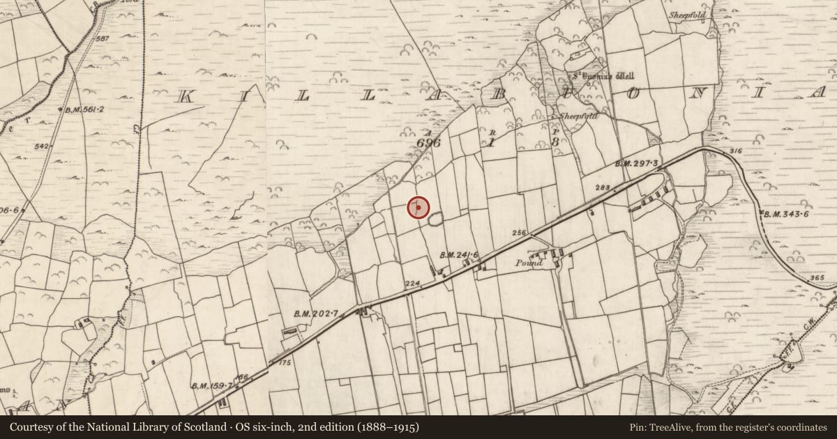 Ordnance Survey six-inch map, 2nd edition (1888–1915) covering the location of Hut site, Cill Buaine, County Kerry, with a pin at the register's coordinates