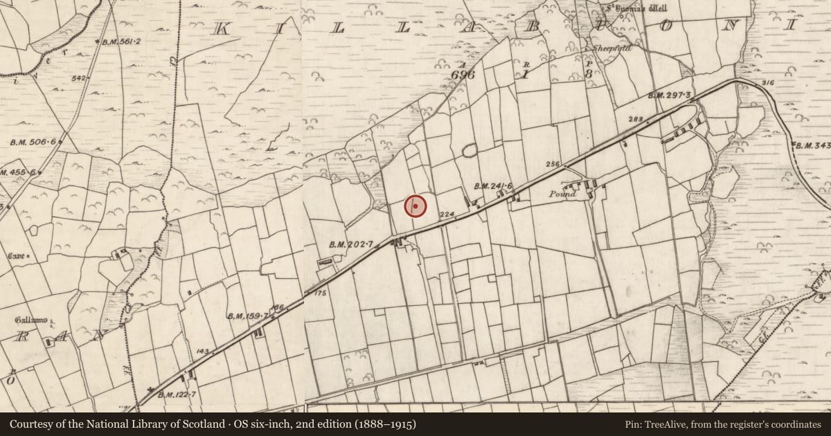 Ordnance Survey six-inch map, 2nd edition (1888–1915) covering the location of Hut site, Cill Buaine, County Kerry, with a pin at the register's coordinates