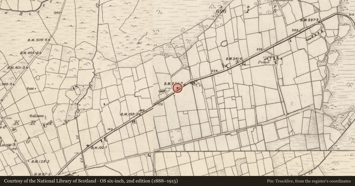 Ordnance Survey six-inch map, 2nd edition (1888–1915) covering the location of Standing stone, Cill Buaine, County Kerry, with a pin at the register's coordinates