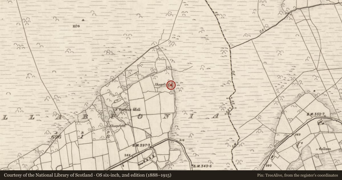 Ordnance Survey six-inch map, 2nd edition (1888–1915) covering the location of Hut site, Cill Buaine, County Kerry, with a pin at the register's coordinates