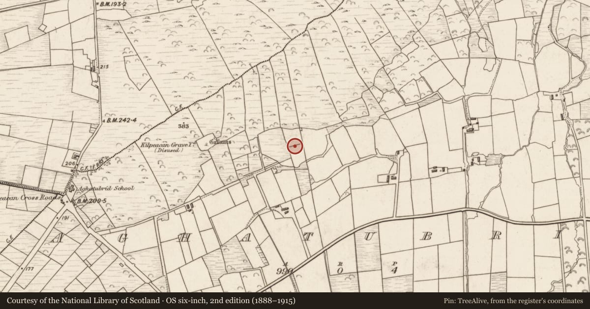Ordnance Survey six-inch map, 2nd edition (1888–1915) covering the location of Cross-inscribed pillar (present location), Aghatubrid, County Kerry, with a pin at the register's coordinates