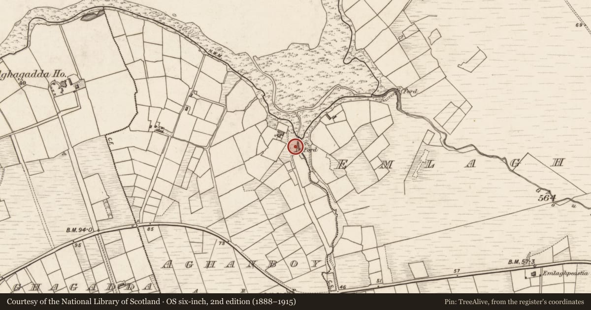 Ordnance Survey six-inch map, 2nd edition (1888–1915) covering the location of Ritual site - holy well, Aghanboy, County Kerry, with a pin at the register's coordinates