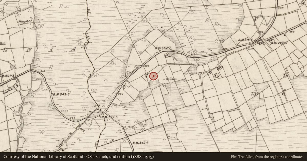 Ordnance Survey six-inch map, 2nd edition (1888–1915) covering the location of Souterrain, Na Cúla (Bar. Uíbh Ráthach), County Kerry, with a pin at the register's coordinates