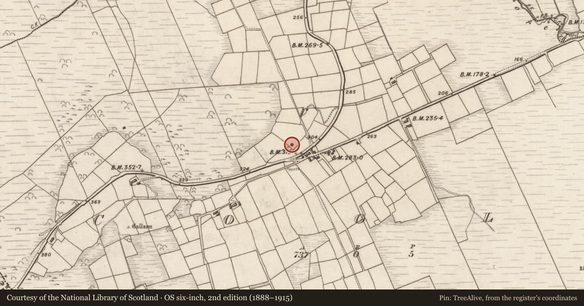 Ordnance Survey six-inch map, 2nd edition (1888–1915) covering the location of Children's burial ground, Na Cúla (Bar. Uíbh Ráthach), County Kerry, with a pin at the register's coordinates