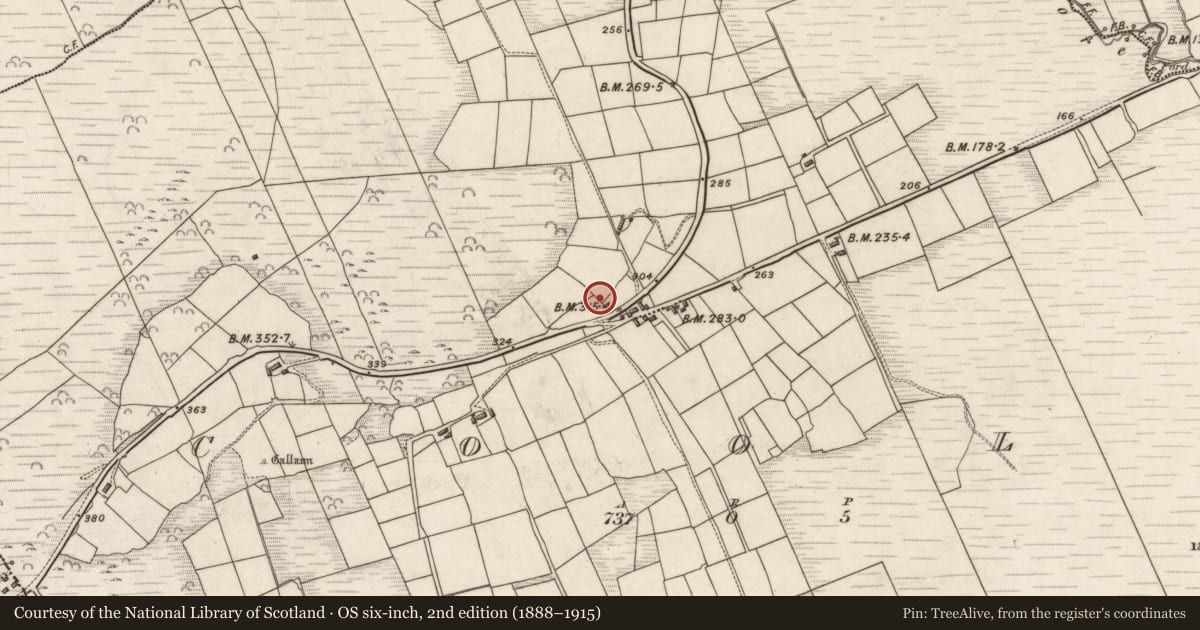 Ordnance Survey six-inch map, 2nd edition (1888–1915) covering the location of Souterrain, Na Cúla (Bar. Uíbh Ráthach), County Kerry, with a pin at the register's coordinates