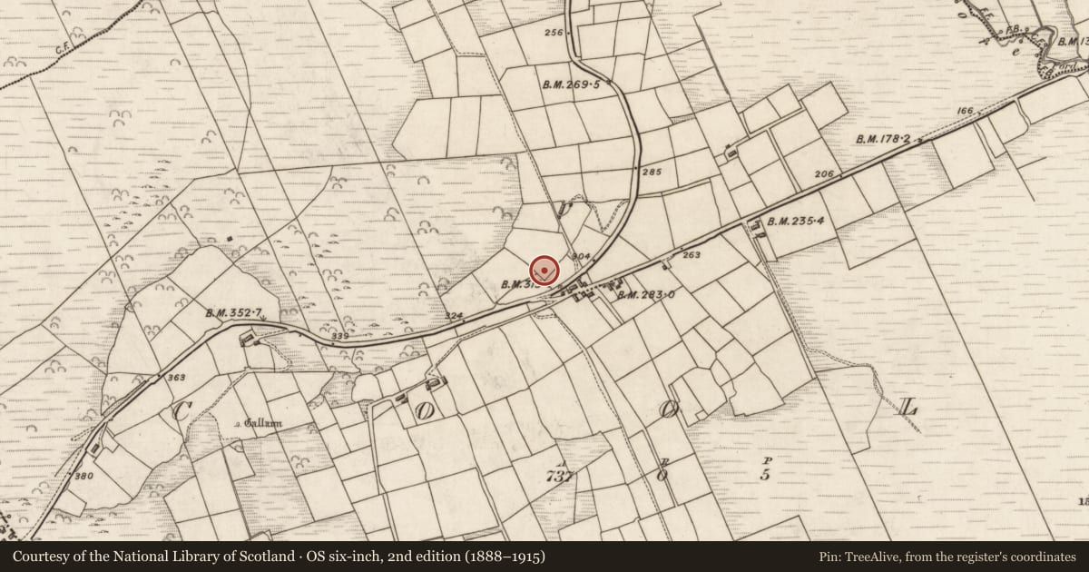 Ordnance Survey six-inch map, 2nd edition (1888–1915) covering the location of Building, Na Cúla (Bar. Uíbh Ráthach), County Kerry, with a pin at the register's coordinates