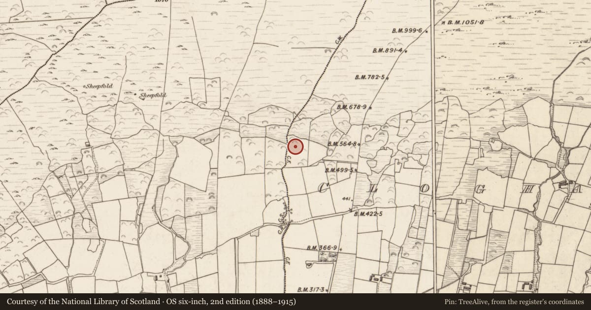 Ordnance Survey six-inch map, 2nd edition (1888–1915) covering the location of Hut site, Cloghanecarhan, County Kerry, with a pin at the register's coordinates