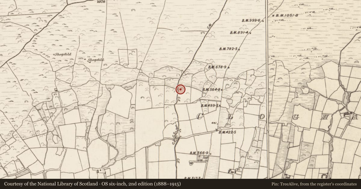 Ordnance Survey six-inch map, 2nd edition (1888–1915) covering the location of Field boundary, Cloghanecarhan, County Kerry, with a pin at the register's coordinates