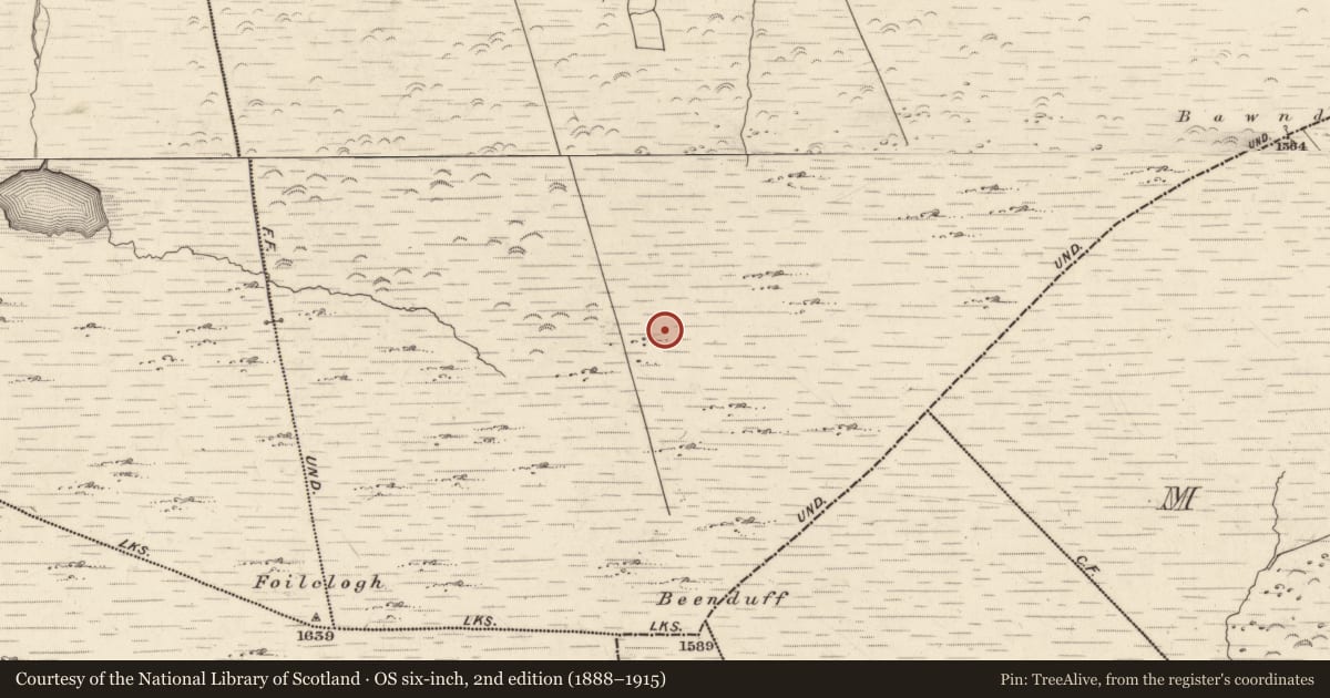 Ordnance Survey six-inch map, 2nd edition (1888–1915) covering the location of Hut site, Canburrin, County Kerry, with a pin at the register's coordinates
