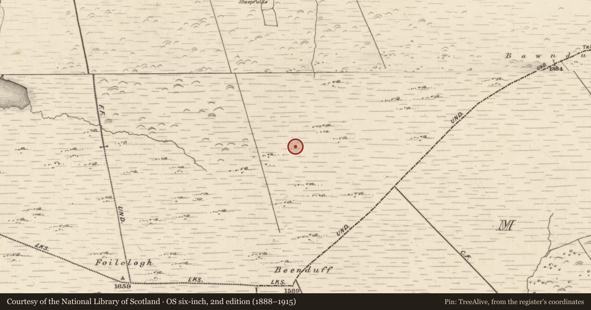 Ordnance Survey six-inch map, 2nd edition (1888–1915) covering the location of Hut site, Canburrin, County Kerry, with a pin at the register's coordinates