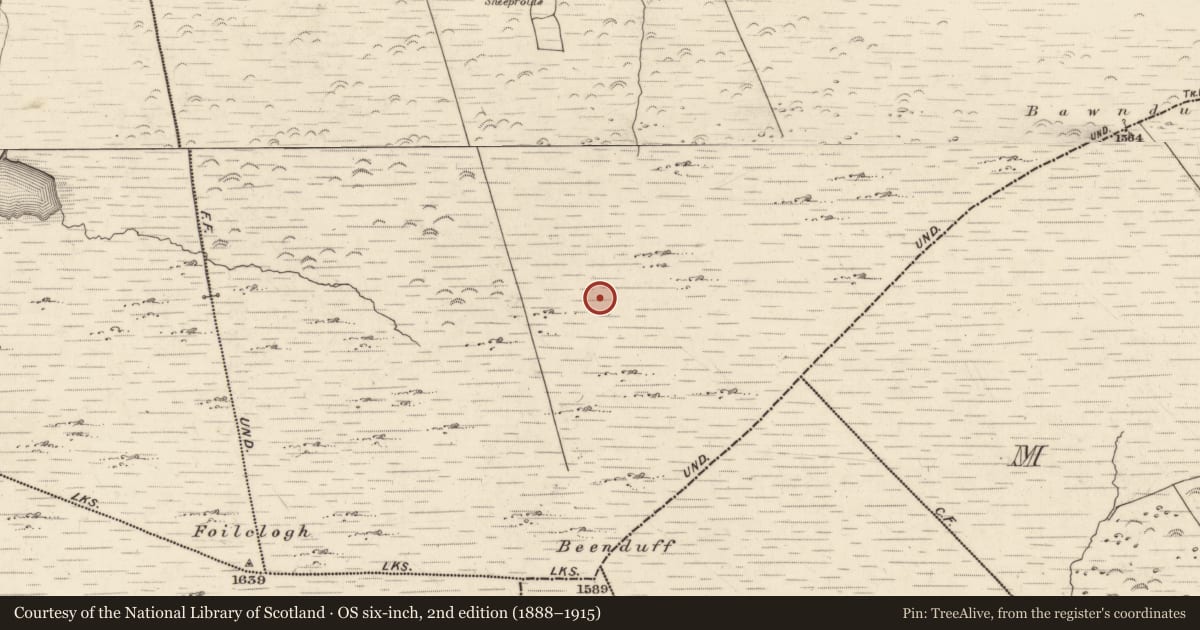 Ordnance Survey six-inch map, 2nd edition (1888–1915) covering the location of Hut site, Canburrin, County Kerry, with a pin at the register's coordinates