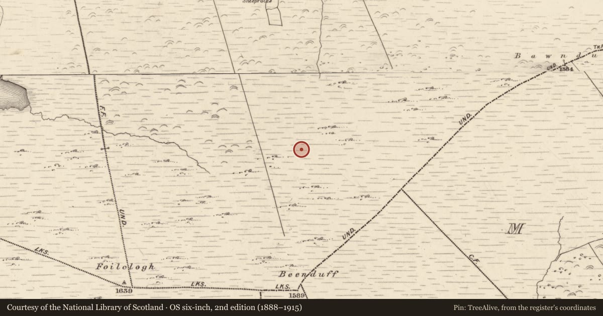 Ordnance Survey six-inch map, 2nd edition (1888–1915) covering the location of Hut site, Canburrin, County Kerry, with a pin at the register's coordinates