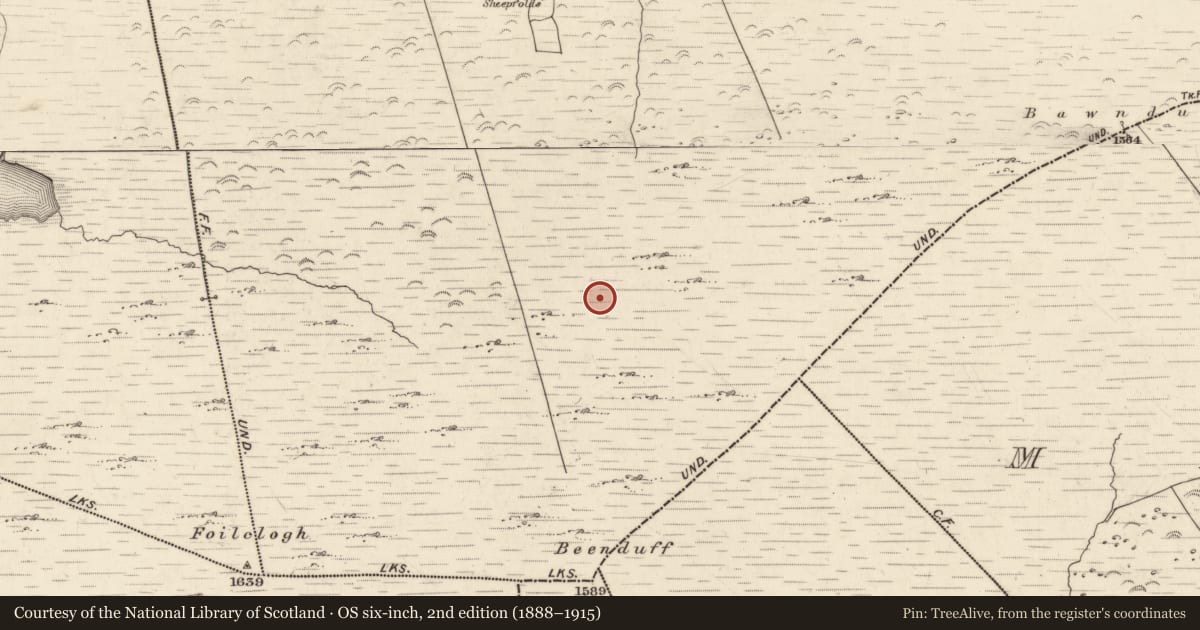 Ordnance Survey six-inch map, 2nd edition (1888–1915) covering the location of Hut site, Canburrin, County Kerry, with a pin at the register's coordinates