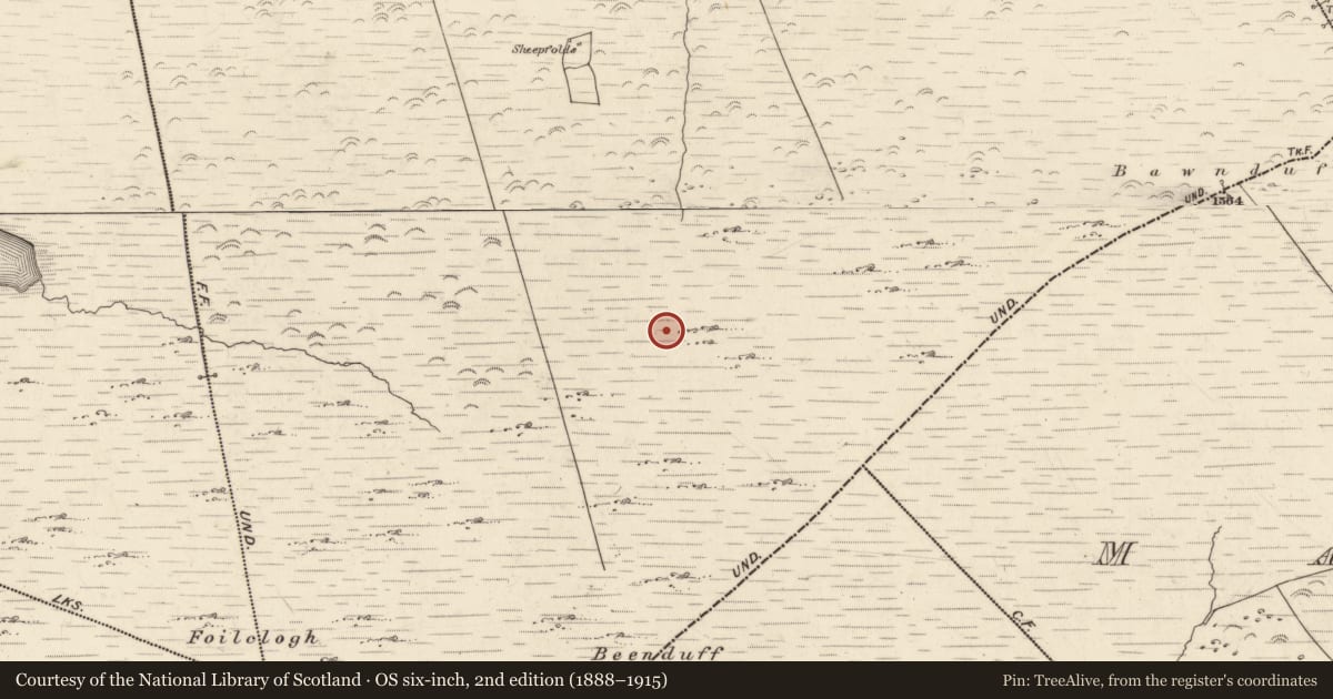Ordnance Survey six-inch map, 2nd edition (1888–1915) covering the location of Hut site, Canburrin, County Kerry, with a pin at the register's coordinates
