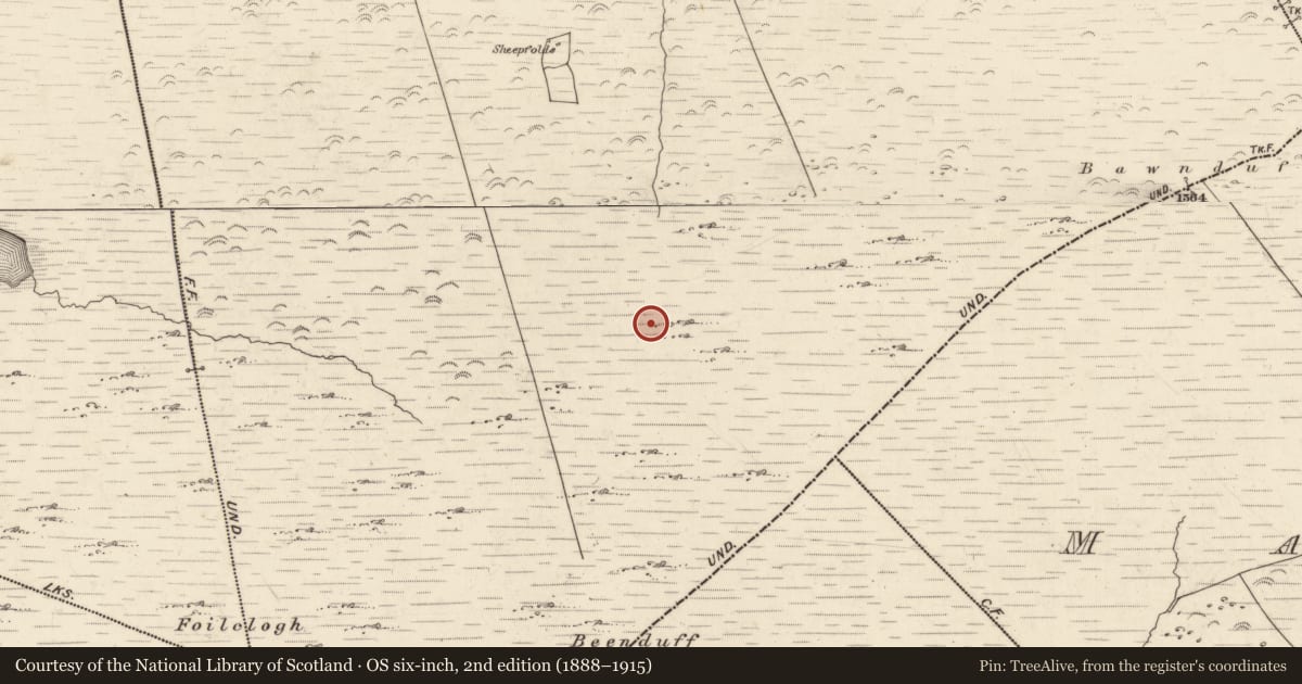 Ordnance Survey six-inch map, 2nd edition (1888–1915) covering the location of Hut site, Canburrin, County Kerry, with a pin at the register's coordinates
