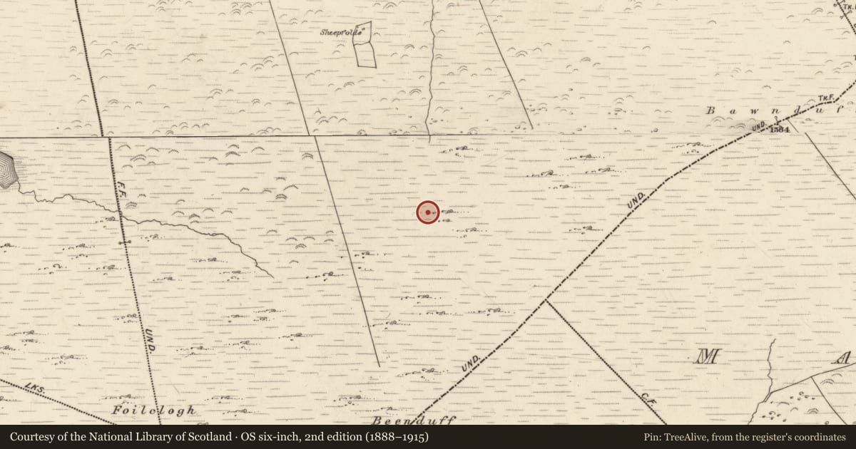Ordnance Survey six-inch map, 2nd edition (1888–1915) covering the location of Hut site, Canburrin, County Kerry, with a pin at the register's coordinates