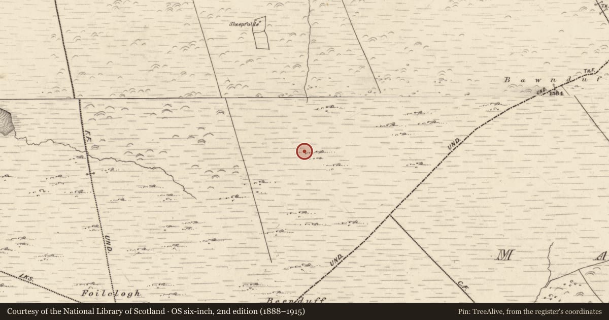 Ordnance Survey six-inch map, 2nd edition (1888–1915) covering the location of Hut site, Canburrin, County Kerry, with a pin at the register's coordinates