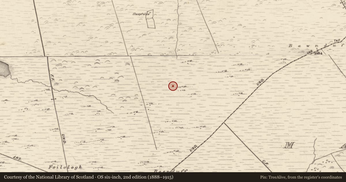 Ordnance Survey six-inch map, 2nd edition (1888–1915) covering the location of Hut site, Canburrin, County Kerry, with a pin at the register's coordinates