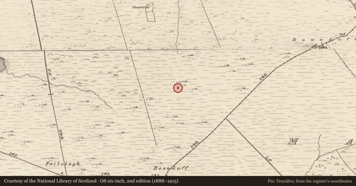 Ordnance Survey six-inch map, 2nd edition (1888–1915) covering the location of Hut site, Canburrin, County Kerry, with a pin at the register's coordinates