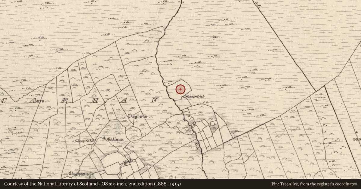 Ordnance Survey six-inch map, 2nd edition (1888–1915) covering the location of Hut site, Cill Mhic Iarainn Thiar, County Kerry, with a pin at the register's coordinates