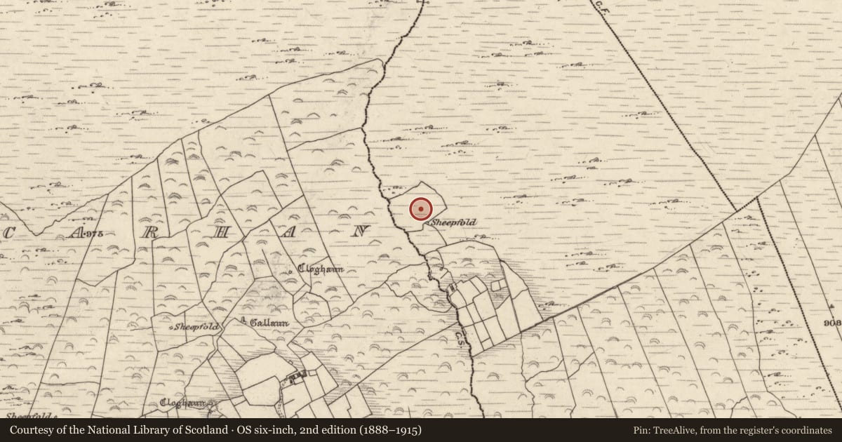 Ordnance Survey six-inch map, 2nd edition (1888–1915) covering the location of Hut site, Cill Mhic Iarainn Thiar, County Kerry, with a pin at the register's coordinates