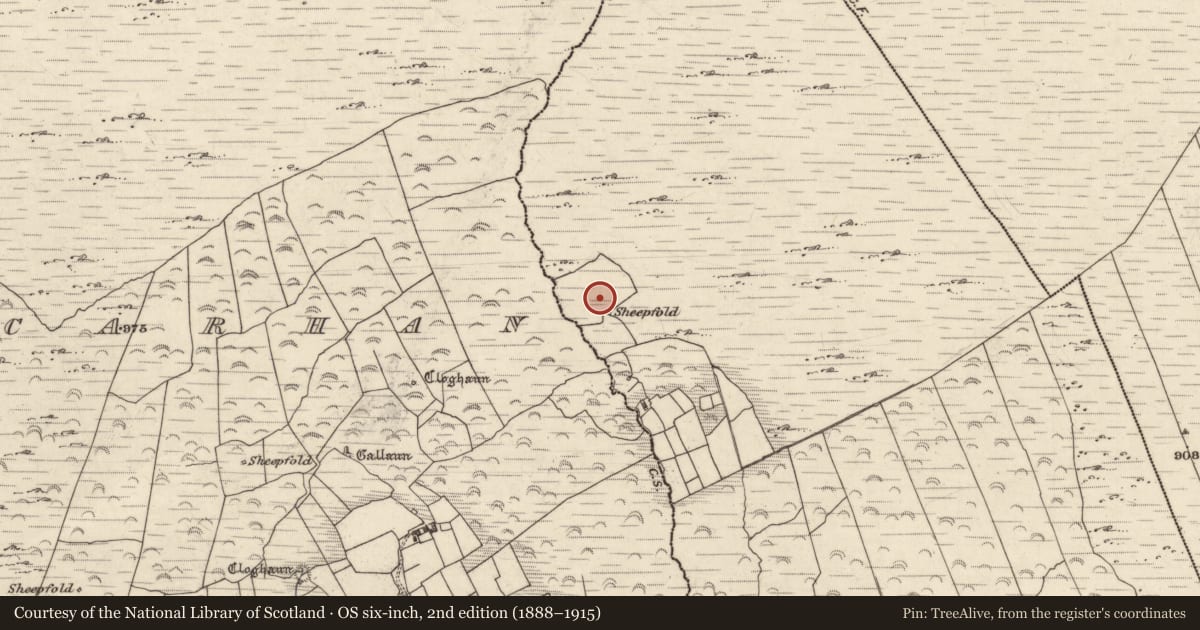 Ordnance Survey six-inch map, 2nd edition (1888–1915) covering the location of Hut site, Cill Mhic Iarainn Thiar, County Kerry, with a pin at the register's coordinates