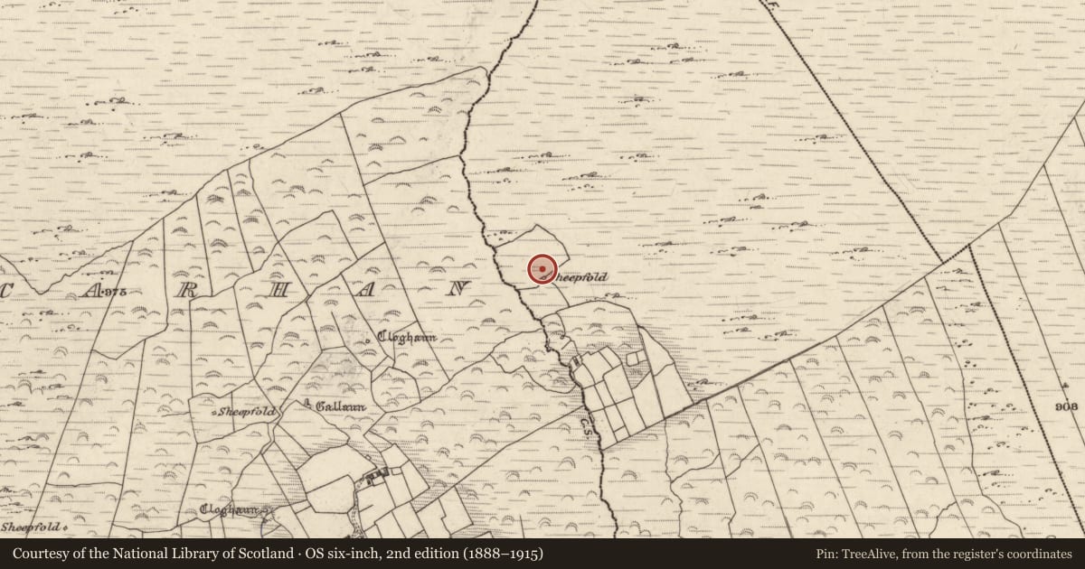 Ordnance Survey six-inch map, 2nd edition (1888–1915) covering the location of Field boundary, Cill Mhic Iarainn Thiar, County Kerry, with a pin at the register's coordinates