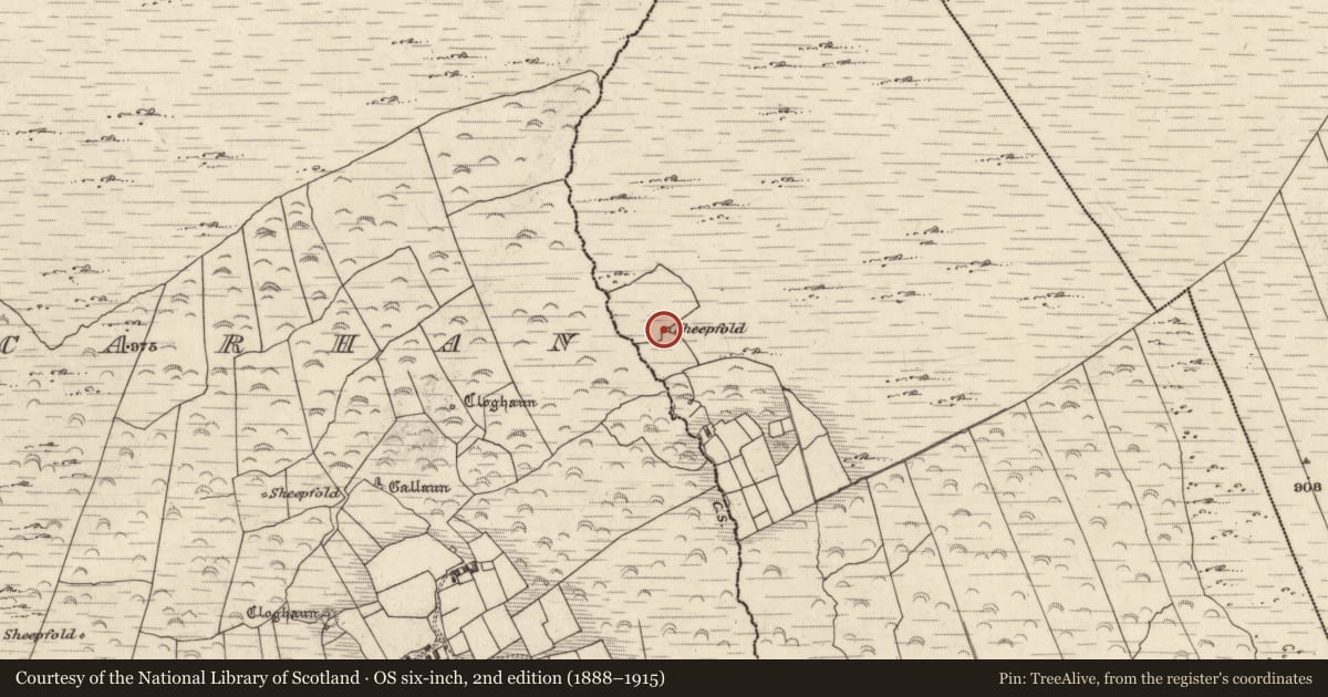 Ordnance Survey six-inch map, 2nd edition (1888–1915) covering the location of Hut site, Cill Mhic Iarainn Thiar, County Kerry, with a pin at the register's coordinates