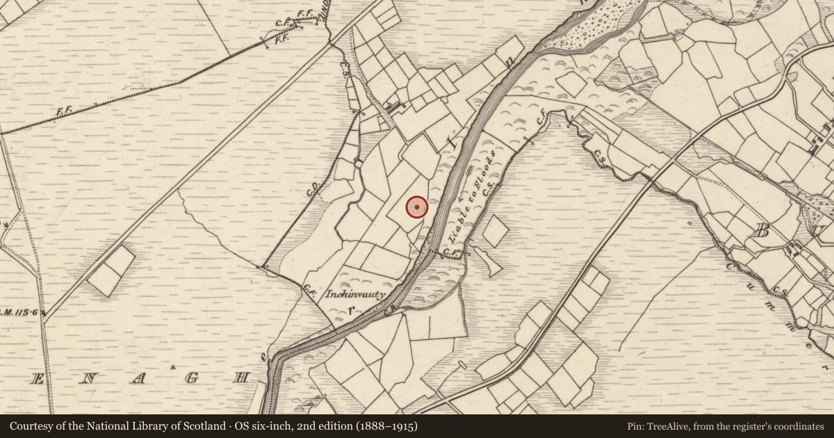 Ordnance Survey six-inch map, 2nd edition (1888–1915) covering the location of Enclosure, Bun An Doirín, County Kerry, with a pin at the register's coordinates
