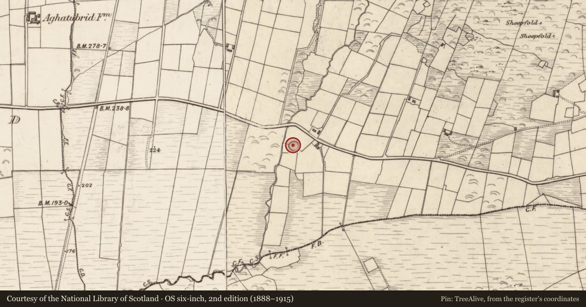 Ordnance Survey six-inch map, 2nd edition (1888–1915) covering the location of Ecclesiastical enclosure, Cloghanecarhan, County Kerry, with a pin at the register's coordinates