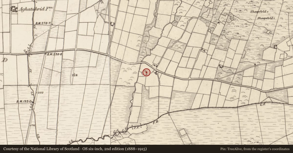 Ordnance Survey six-inch map, 2nd edition (1888–1915) covering the location of Ogham stone (present location), Cloghanecarhan, County Kerry, with a pin at the register's coordinates