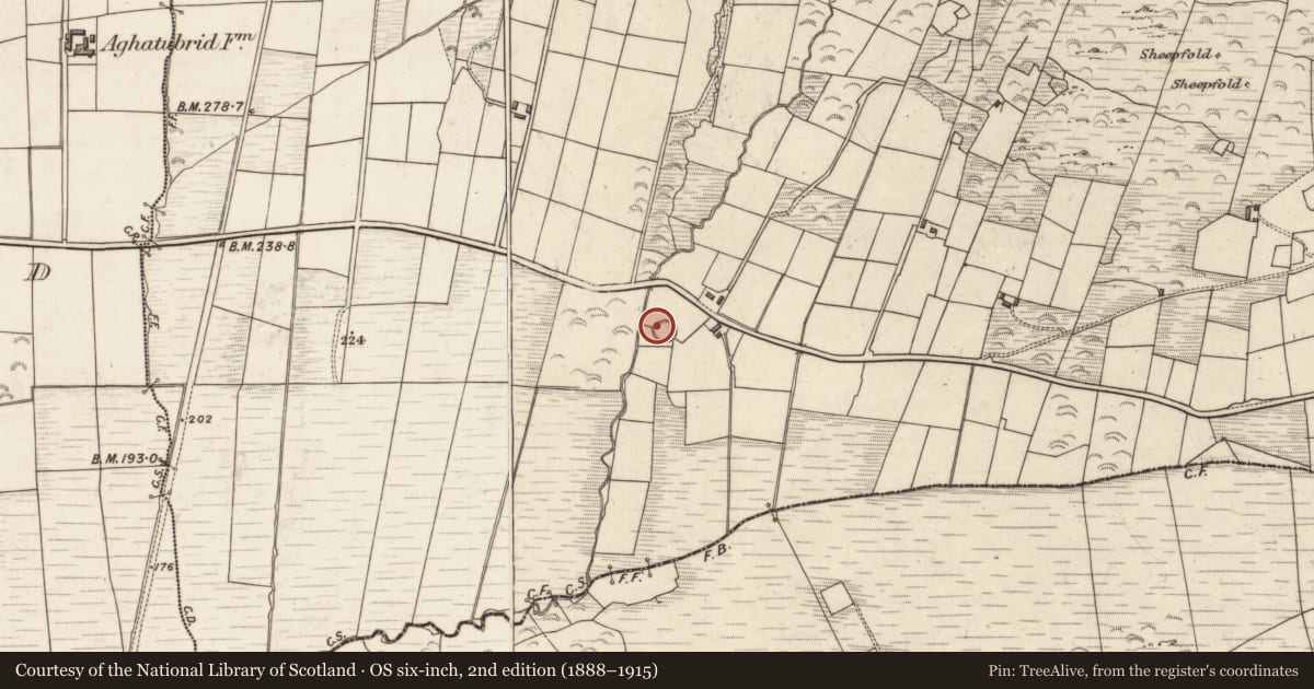 Ordnance Survey six-inch map, 2nd edition (1888–1915) covering the location of Cross-slab, Cloghanecarhan, County Kerry, with a pin at the register's coordinates