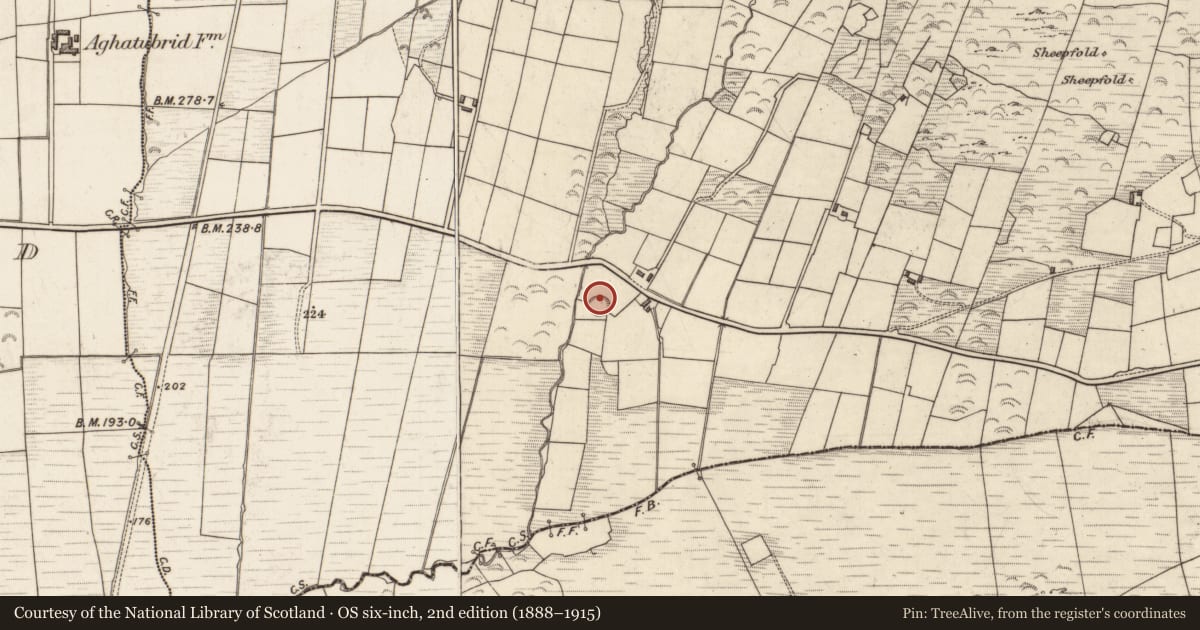 Ordnance Survey six-inch map, 2nd edition (1888–1915) covering the location of Leacht, Cloghanecarhan, County Kerry, with a pin at the register's coordinates
