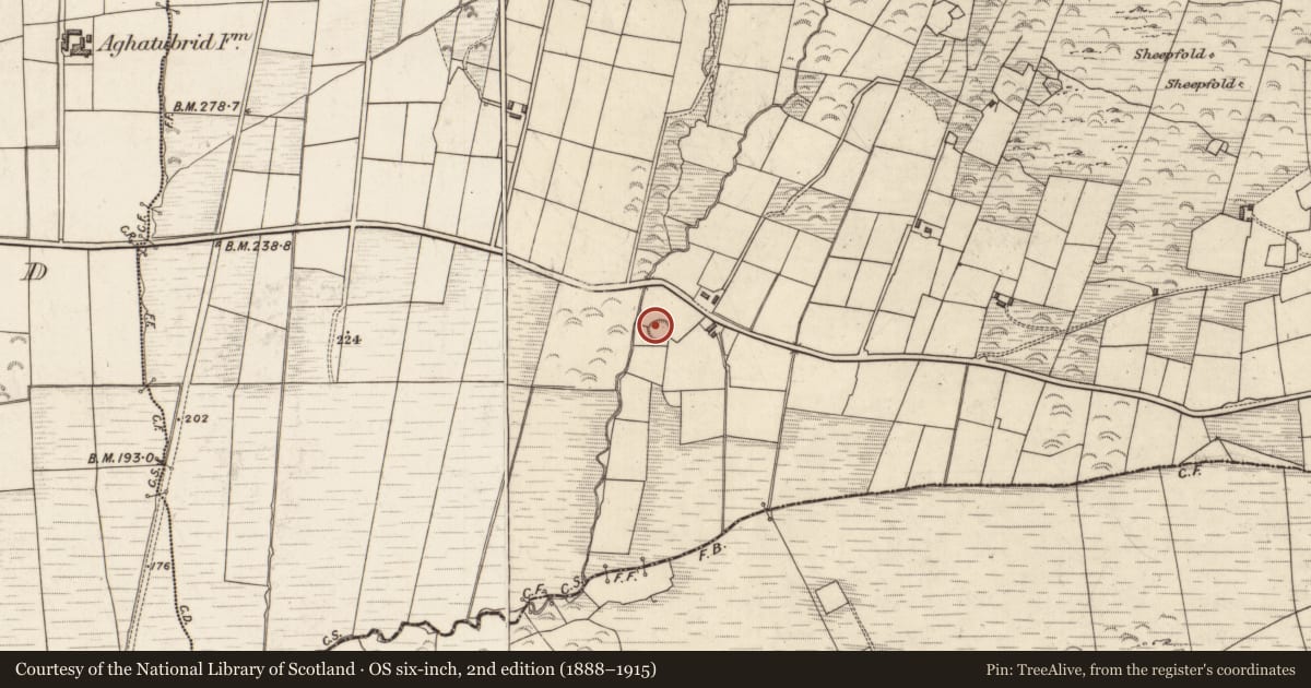 Ordnance Survey six-inch map, 2nd edition (1888–1915) covering the location of Leacht, Cloghanecarhan, County Kerry, with a pin at the register's coordinates