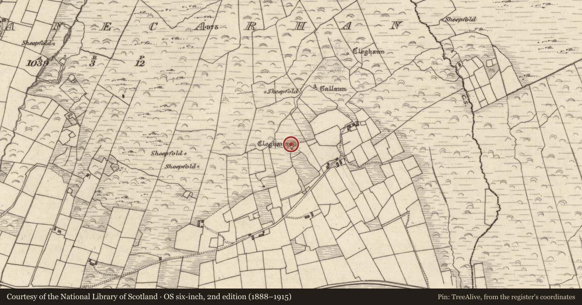 Ordnance Survey six-inch map, 2nd edition (1888–1915) covering the location of Hut site, Cloghanecarhan, County Kerry, with a pin at the register's coordinates