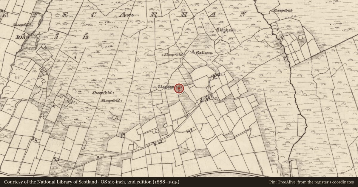 Ordnance Survey six-inch map, 2nd edition (1888–1915) covering the location of Ringfort - rath, Cloghanecarhan, County Kerry, with a pin at the register's coordinates