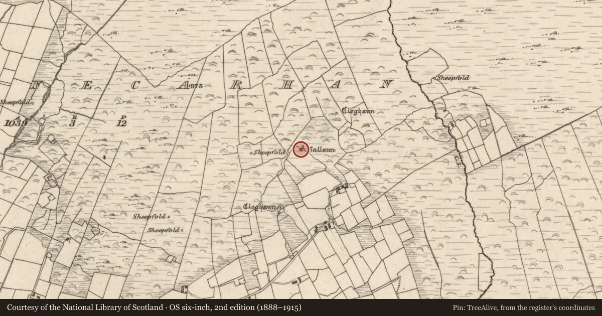 Ordnance Survey six-inch map, 2nd edition (1888–1915) covering the location of Standing stone, Cloghanecarhan, County Kerry, with a pin at the register's coordinates