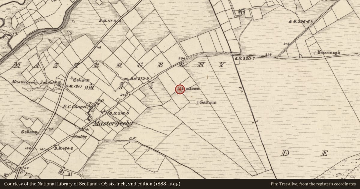 Ordnance Survey six-inch map, 2nd edition (1888–1915) covering the location of Standing stone, Máistir Gaoithe, County Kerry, with a pin at the register's coordinates