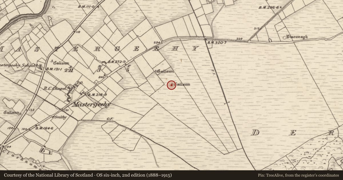 Ordnance Survey six-inch map, 2nd edition (1888–1915) covering the location of Standing stone, Máistir Gaoithe, County Kerry, with a pin at the register's coordinates