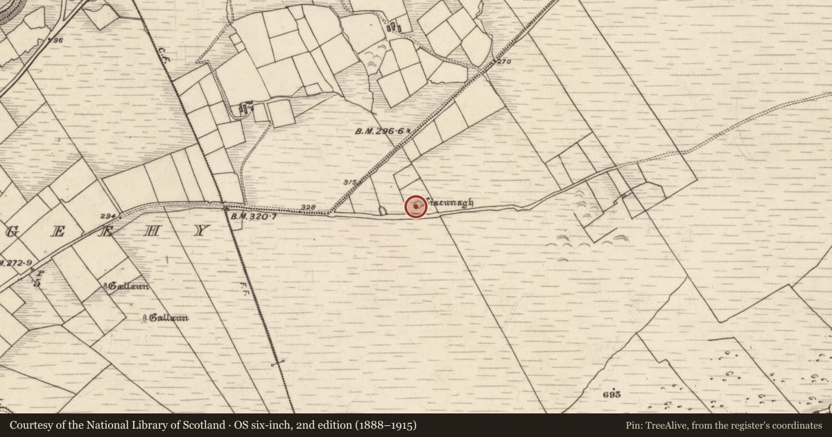 Ordnance Survey six-inch map, 2nd edition (1888–1915) covering the location of Enclosure, Derrineden, County Kerry, with a pin at the register's coordinates