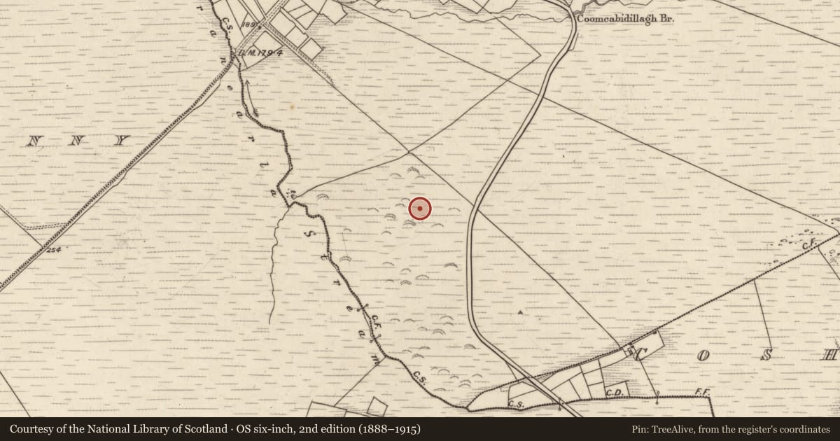 Ordnance Survey six-inch map, 2nd edition (1888–1915) covering the location of Souterrain, Bun An Doirín, County Kerry, with a pin at the register's coordinates
