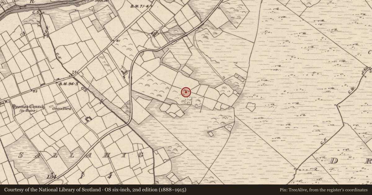 Ordnance Survey six-inch map, 2nd edition (1888–1915) covering the location of Ringfort - cashel, Doory, County Kerry, with a pin at the register's coordinates