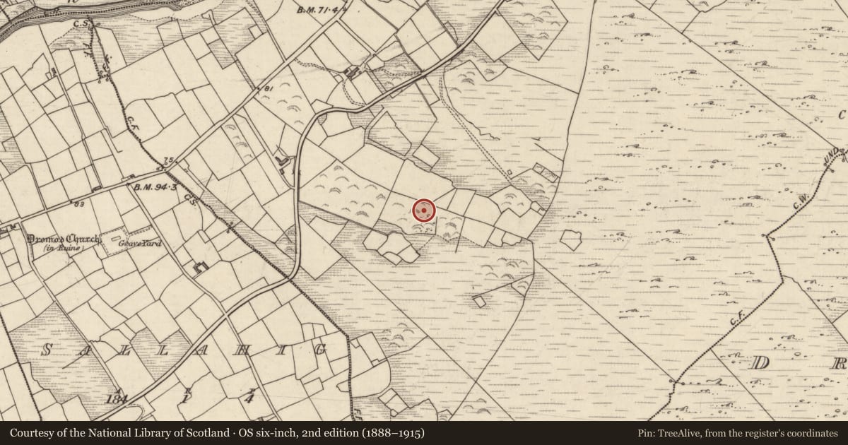Ordnance Survey six-inch map, 2nd edition (1888–1915) covering the location of Hut site, Doory, County Kerry, with a pin at the register's coordinates